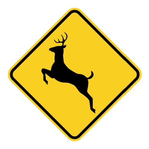 Deer Crossing Signs